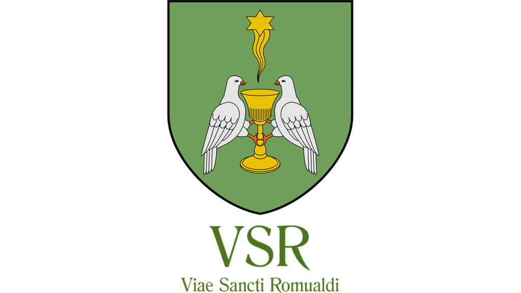 vsr logo