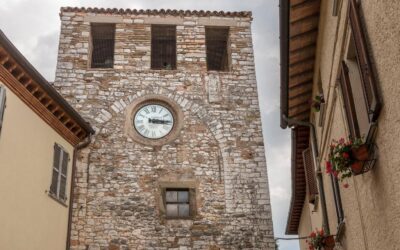 La filiera del legno in Umbria: dal passato il futuro